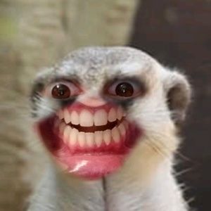 Meet your Posher, Adrianna